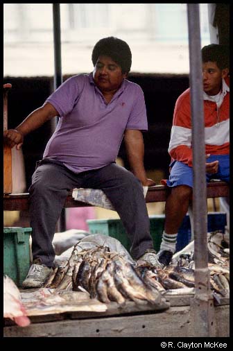 Fish Market